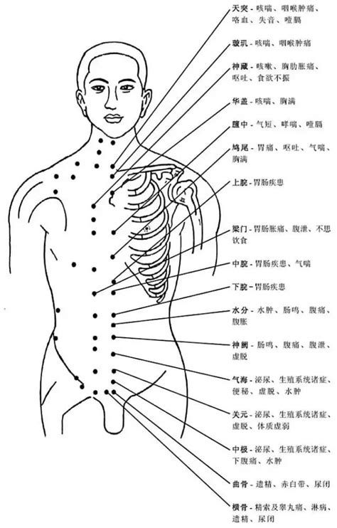 人身穴位圖|超全人体穴位图谱（附经络循行动图）